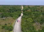 Everglades, 15-Mile Bike Ride, Florida; October, 2011